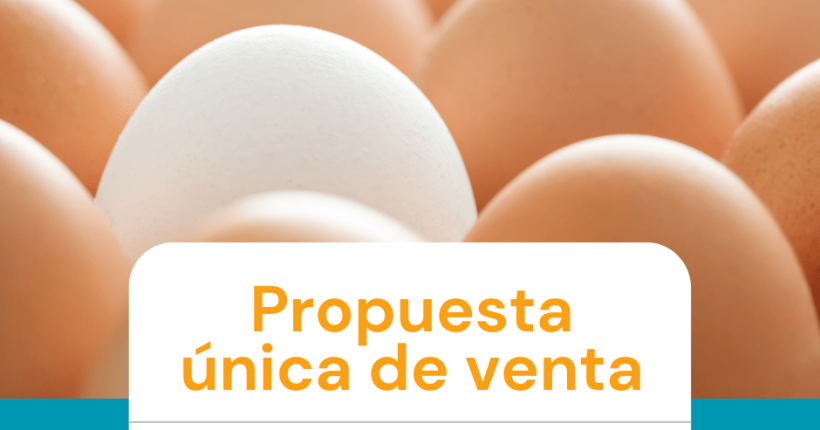 Profesionales de empresas intercambian ideas para una propuesta única de venta
